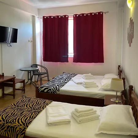 Pensiunea Sonrisa 招待所 3*