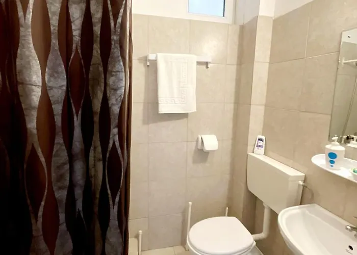 Pensiunea Sonrisa 3* 那沃达利