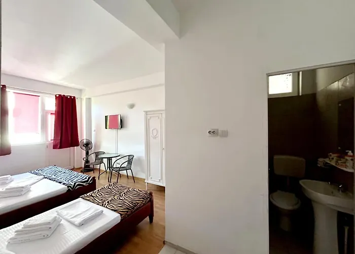 Pensiunea Sonrisa 招待所 3*