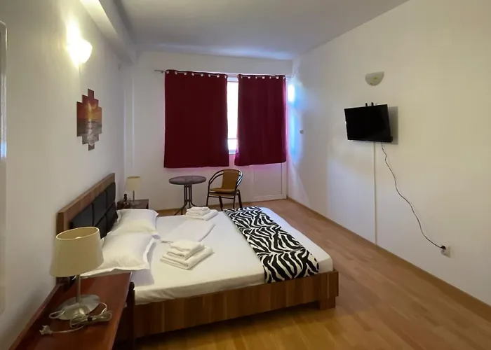 Pensiunea Sonrisa 招待所 那沃达利